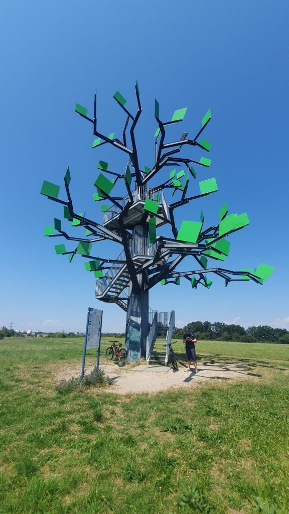 Eisenbaum bei Wicker