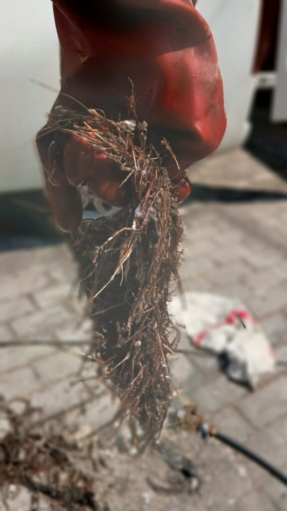 Drain and Plumbing Services in Menlyn | Drain Masters | Professional Solutions