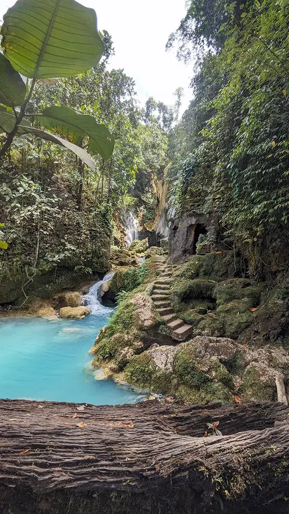 A picture of a path through the Jungle alongside a small waterway in the Philippines.