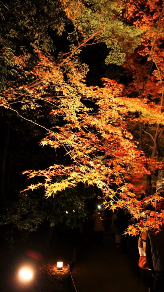 北野天滿宮紅葉