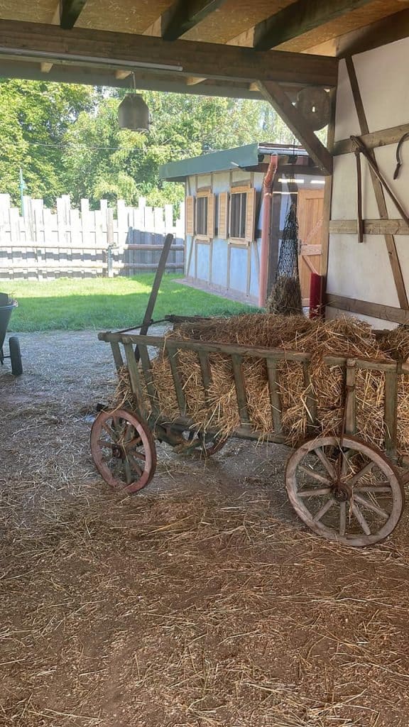 Altes landwirtschaftliches Wagen mit Heu, rustikaler Hofstil, ländliches Ambiente, Wellnesshof RaJa, Naturerlebnis, ländliche Idylle, Bauernhof-Atmosphäre, authentische Landhaus-Atmosphäre, ländliches Flair, bäuerliches Ambiente.