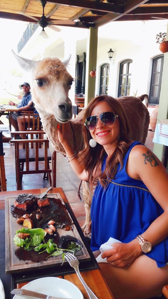 Patios de Cafayate wine hotel restaurant special guest