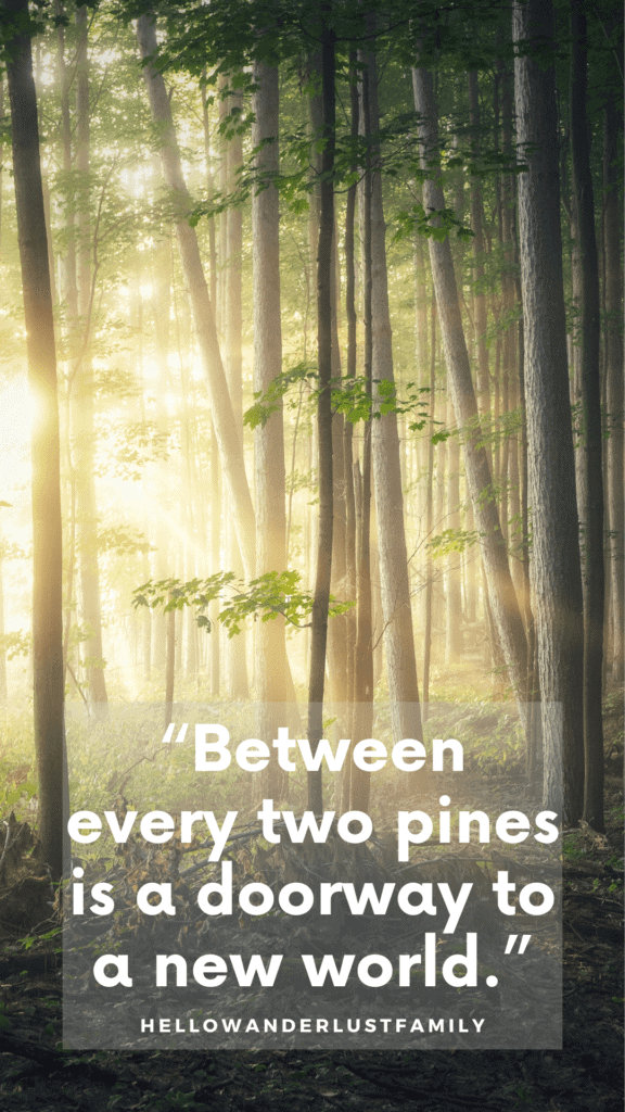 In every walk with nature, one receives far more than he seeks. - John Muir