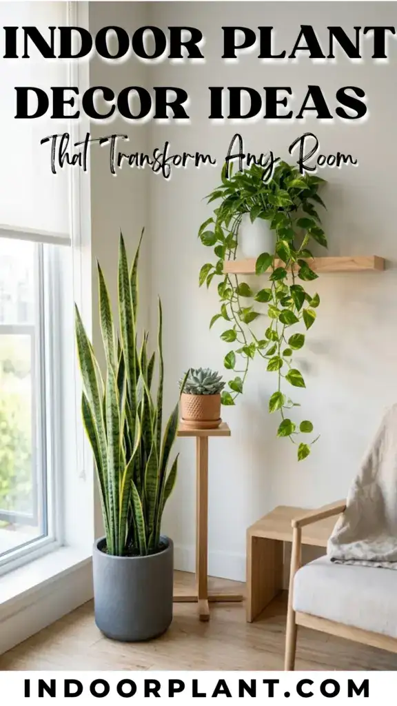 Indoor Plant Decor Ideas