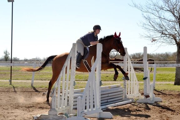 1150198_10151935191085847_597950676_n