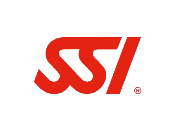 Logo SSI