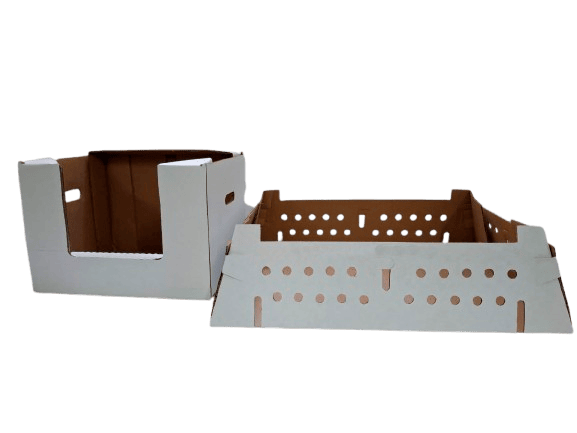 caja troquelada