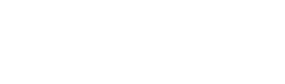 birlea logo