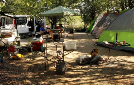 Kruger National Park South Africa