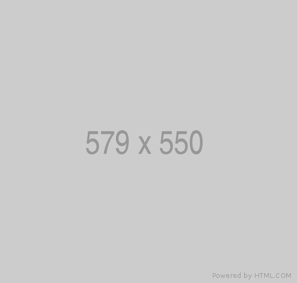 579x550