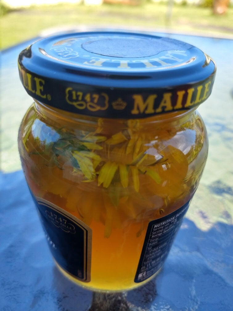 dandelion flowers in vinegar in a jar