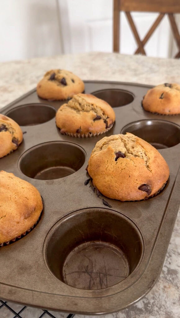 Einkorn flour sour cream chocolate chip muffins evenly spaced in a baking pan