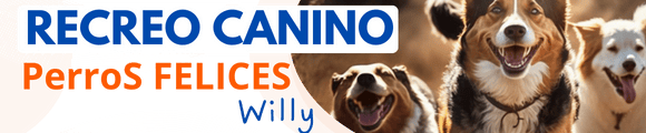 Recreo Canino Paseador de Perros Recreo Canino Paseador de Perros