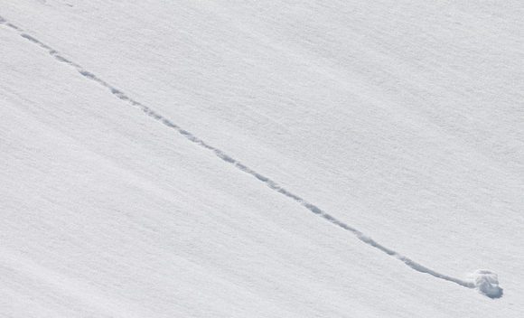 Snowball Effect