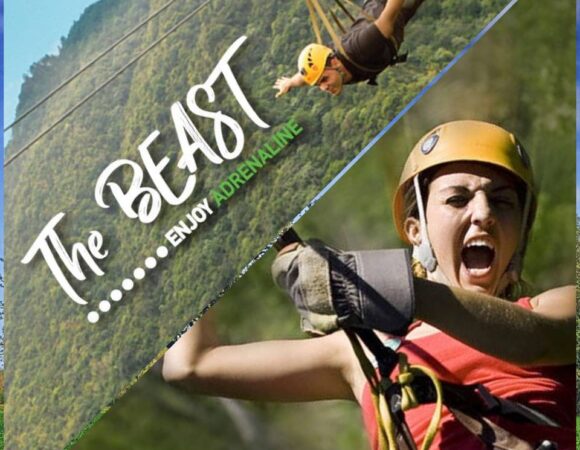 Toro Verde Adventure Park: The Top 5 Zip Line Courses in Puerto Rico