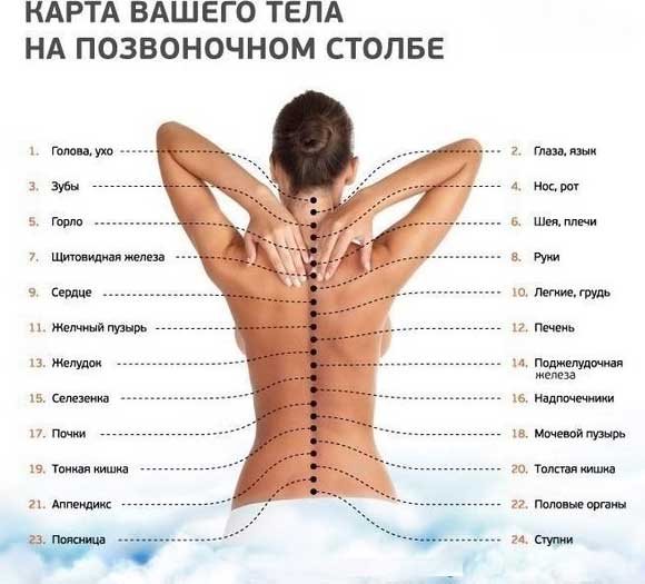 Разница между Акупунктурой и Акупрессурой 2 Карта тела для процедуры Акупрессура (точечный массаж)