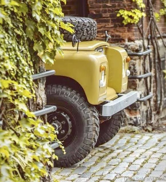 defender