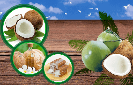 Thành lập cơ sở sản xuất kẹo dừa hiện nay