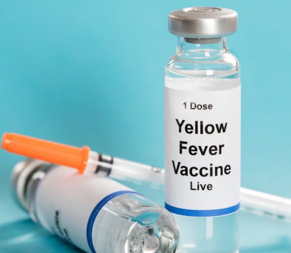 Yellow Fever Vaccination for Your Upcoming Travel