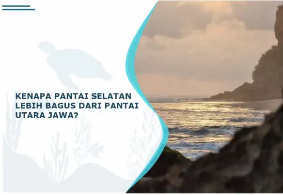 kenapa pantai selatan lebih bagus dari pantai utara jawa