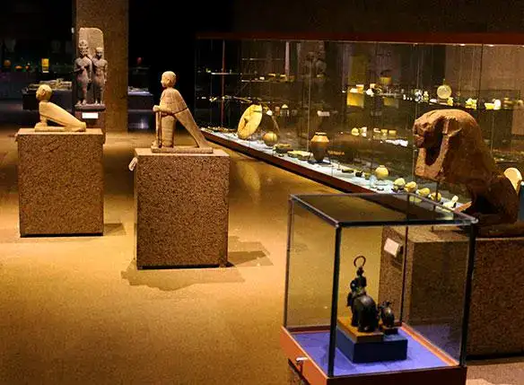 Archaeological artefacts and display cases inside the museum