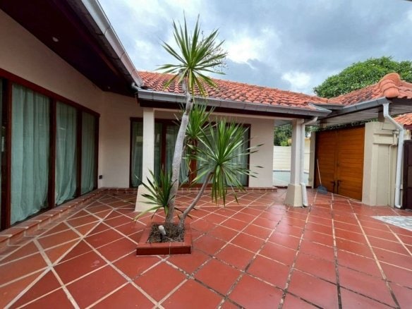 Modern residential courtyard with terracotta tile flooring and potted palm tree