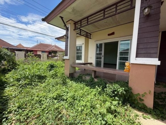 Overgrown front yard of single-story house with terracotta walls