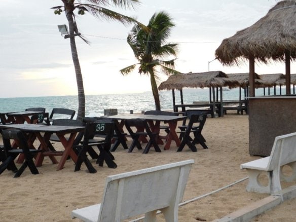 Beach resort with numbered picnic tables, palm trees, and thatched umbrellas overlooking ocean