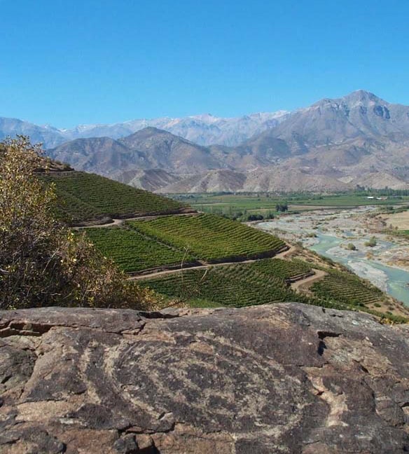 Petroglyphs and cacti with views over the vines of Aconcagua