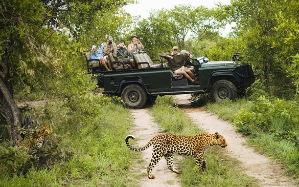 Kruger National Park South Africa