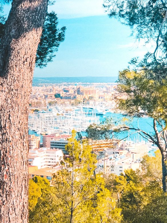Vivir en Mallorca