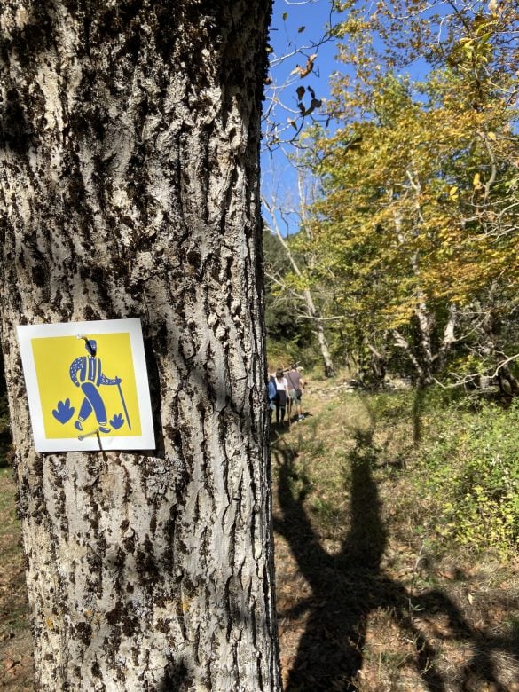 Vamvakou Revival_Trails (8)