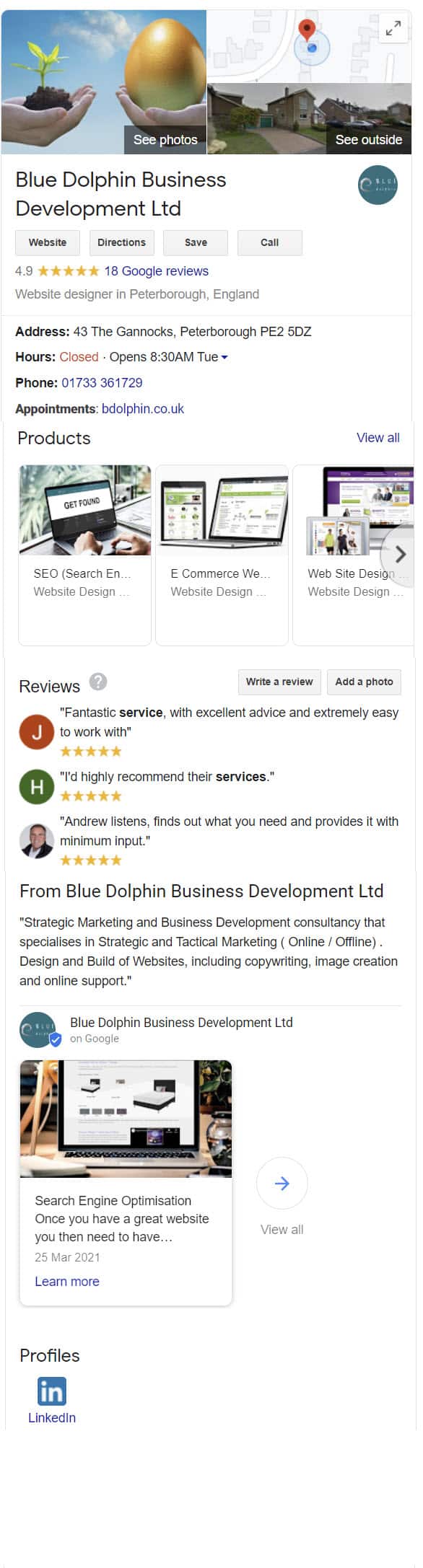 google my business profile blue dolphin website design