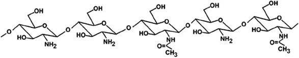 Figure 1. Representative structure of partially N-acetylated chitosan structure of partially N-acetylated chitosan.