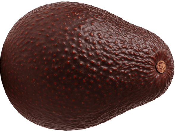 aguacate ecológico