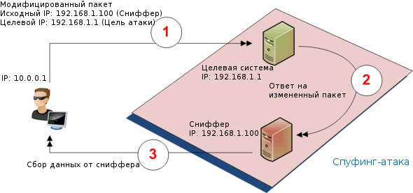 Разница между Фишингом и Спуфингом 2 Пример IP-спуфинга