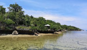 penerjemah tersumpah sulawesi barat
