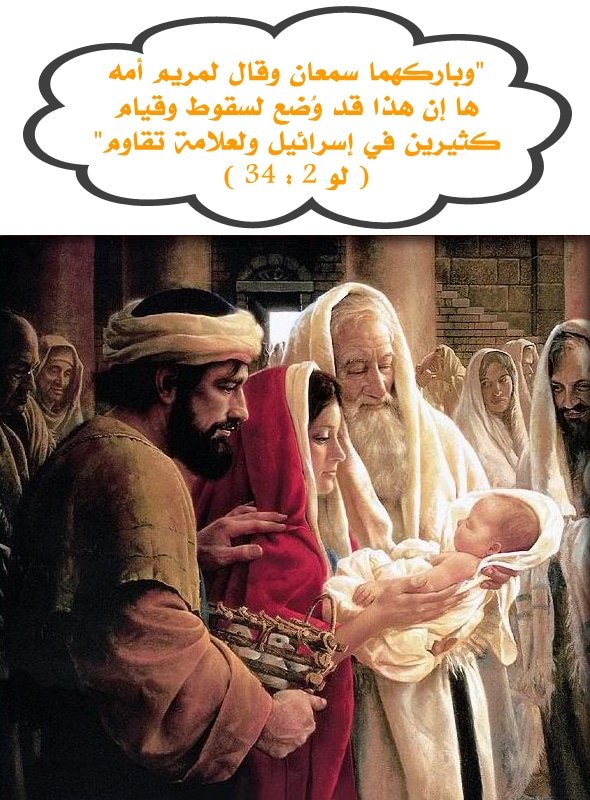 سمعان الشيخ