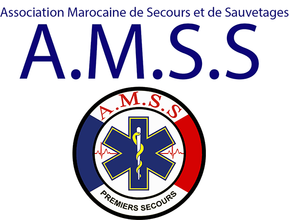 AMSS ebrigade