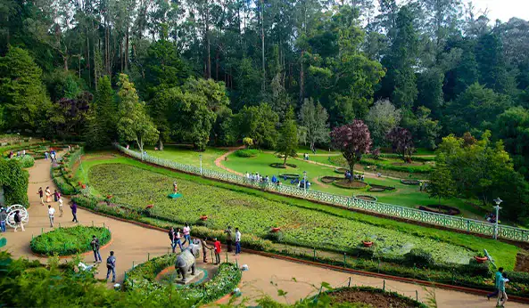 Ooty Tour packages for family