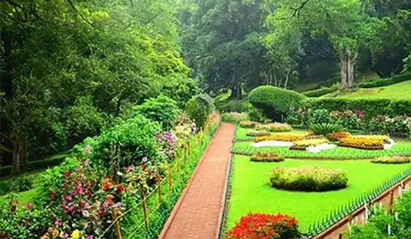 Ooty Beautifull Sims Park