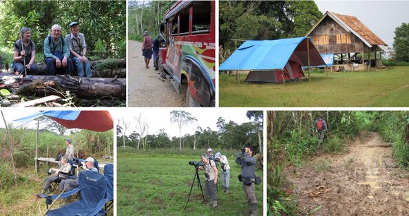 Mindanao birding scenes