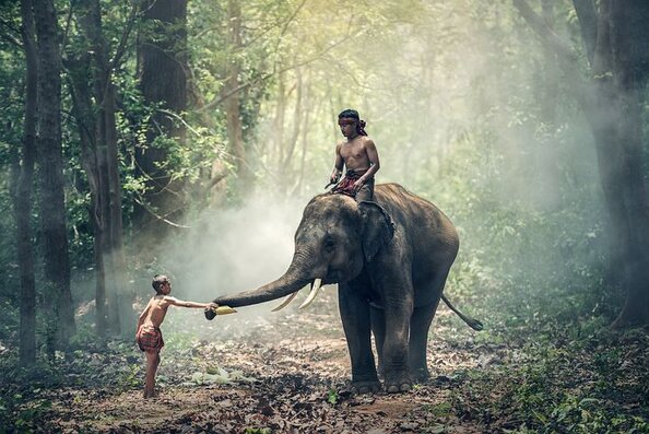 Travelling to Thailand: Amazing tips that will help your strip.