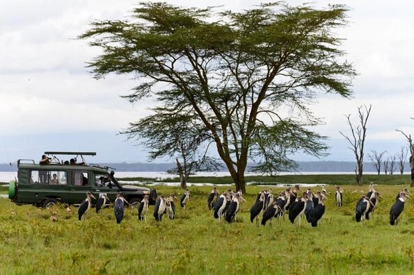 Kruger National Park South Africa