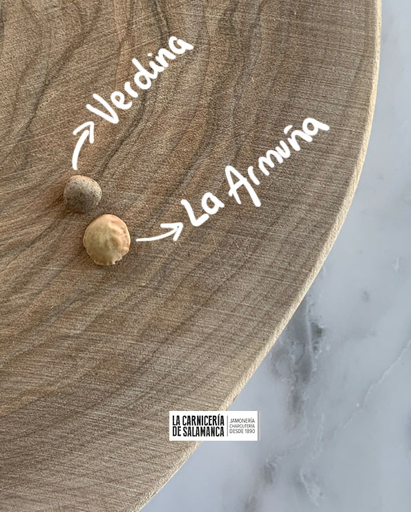 Comparación entre dos tipos de lentejas sobre una tabla de madera: lenteja verdina y lenteja de la Armuña, mostrando claramente la diferencia de tamaño y color entre ambas variedades.