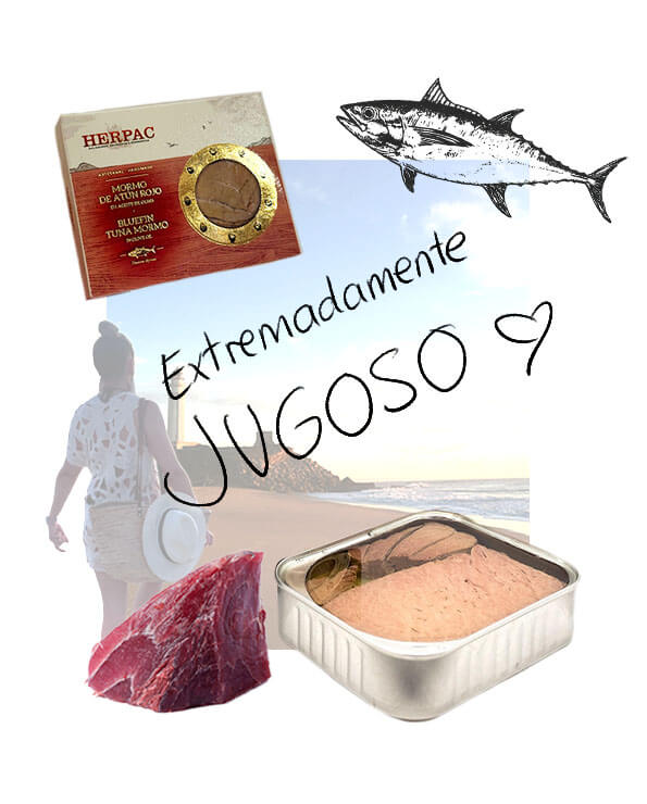 conserva gourmet de mormo de atun rojo herpac en aceite de oliva