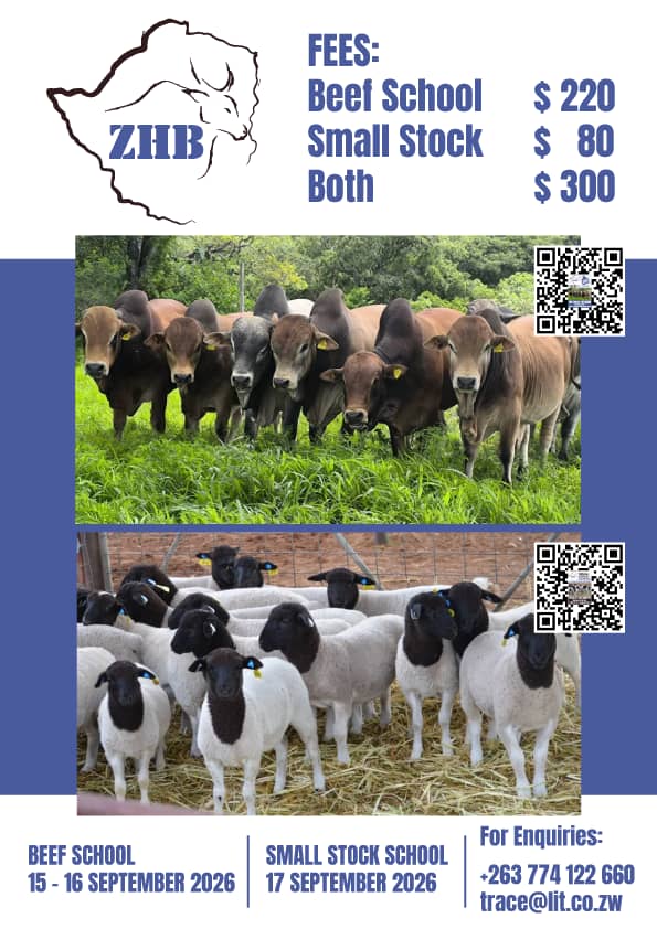 BEEF-SCHOOL & SMALL STOCK SCHOOL