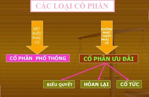 Sự khác nhau giữa cổ phần phổ thông và cổ phần ưu đãi biểu quyết
