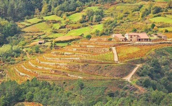 Fazenda Pradio