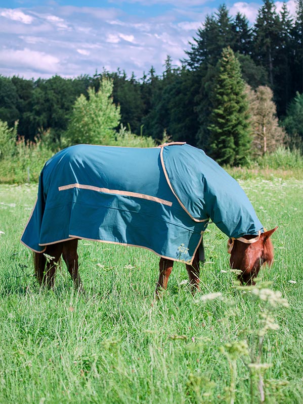 Islandpferd auf der Weide mit kompletter Ekzemdecke SWEET RELIEF in Blau
